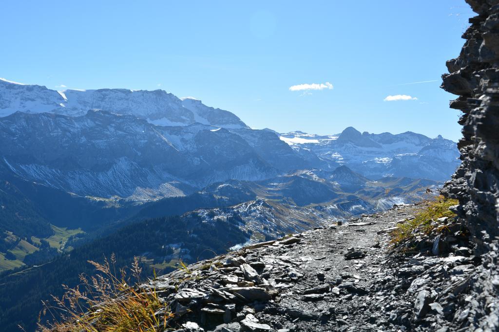 Hotel Hari Im Schlegeli Adelboden Esterno foto