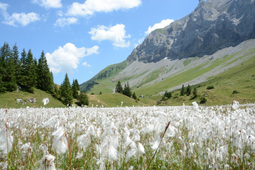 Hotel Hari Im Schlegeli Adelboden Esterno foto