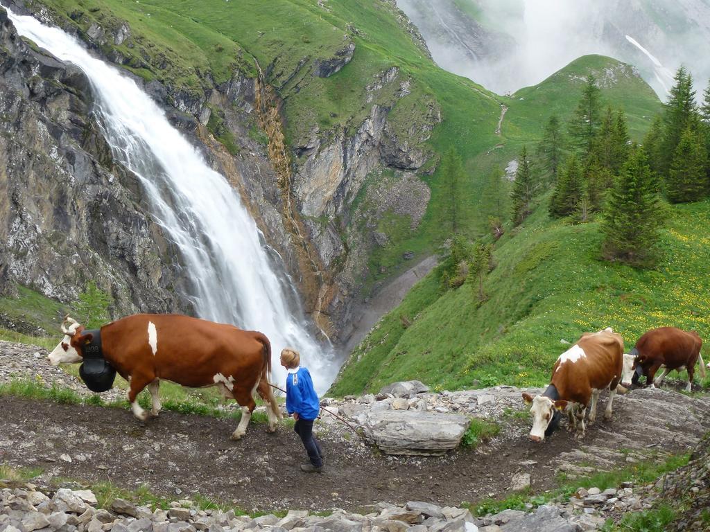 Hotel Hari Im Schlegeli Adelboden Esterno foto