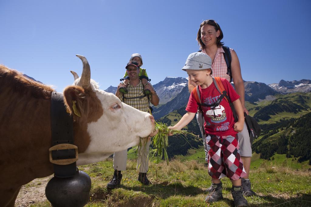 Hotel Hari Im Schlegeli Adelboden Esterno foto