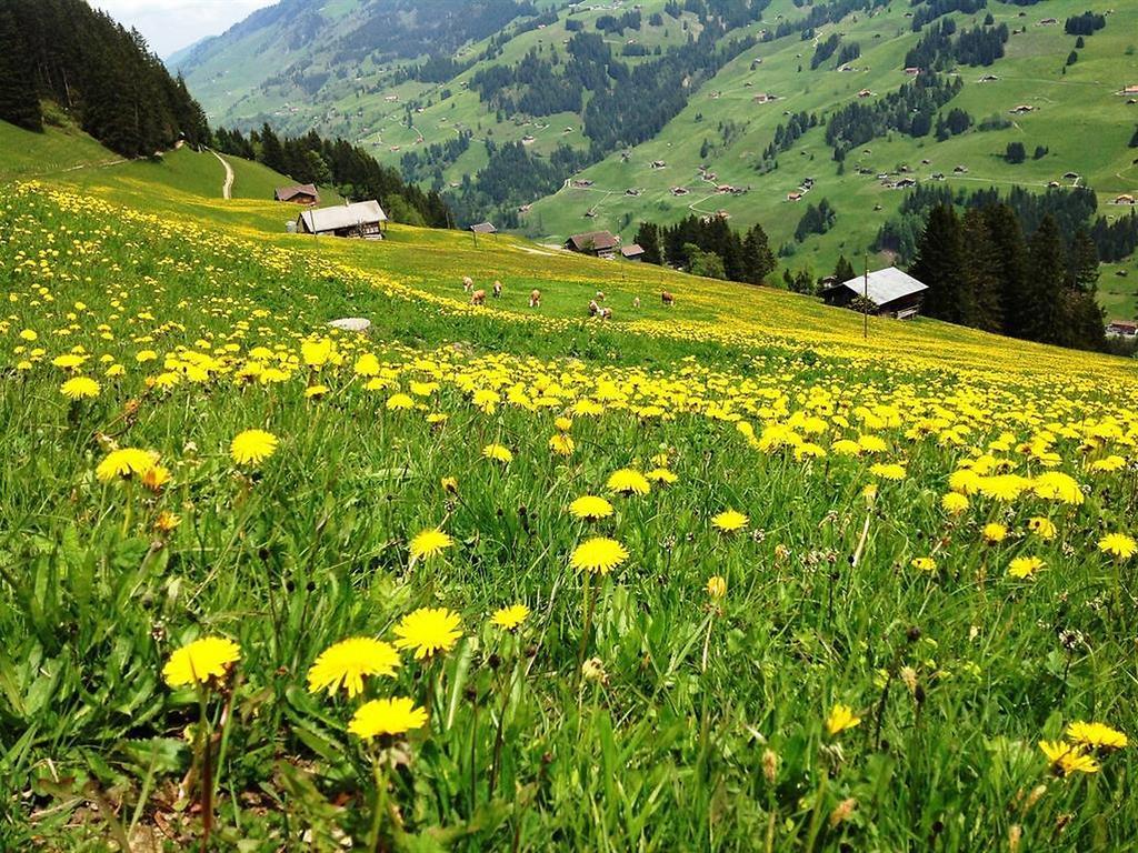 Hotel Hari Im Schlegeli Adelboden Esterno foto