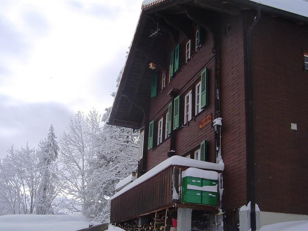 Hotel Hari Im Schlegeli Adelboden Esterno foto