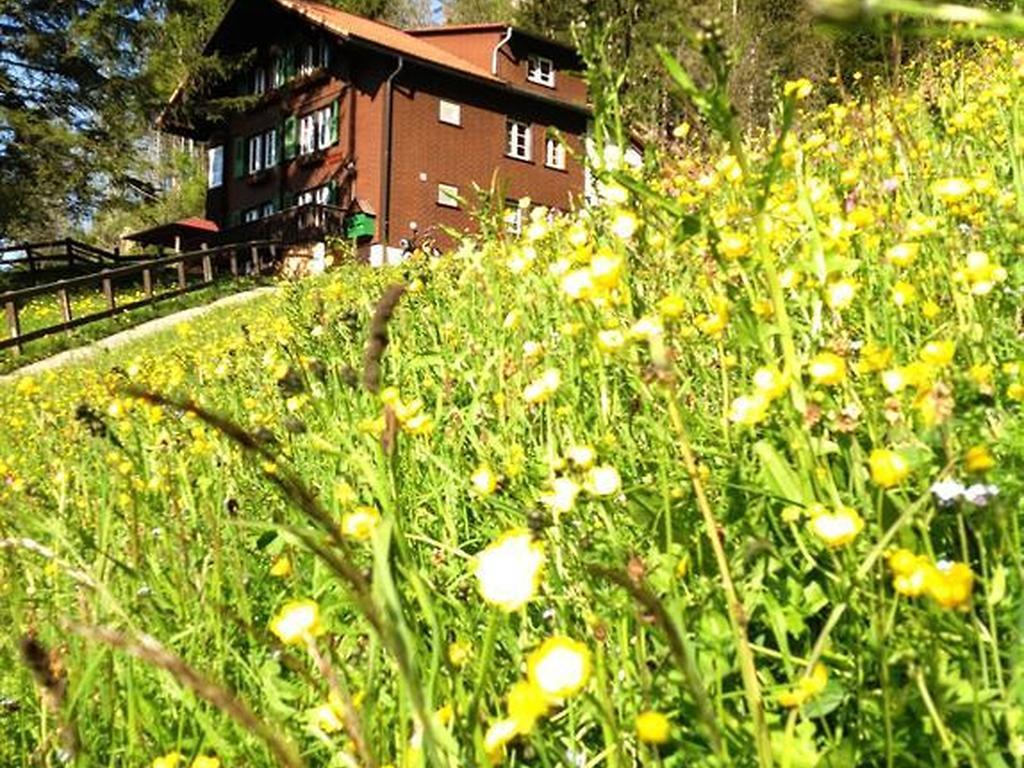 Hotel Hari Im Schlegeli Adelboden Esterno foto